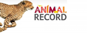 Read more about the article Interesting sporting records of animals that deserve our attention